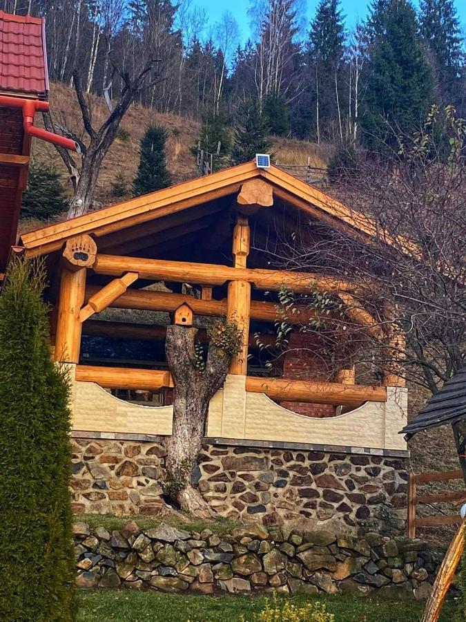 Villa Casa Anghel Bilbor Exterior foto